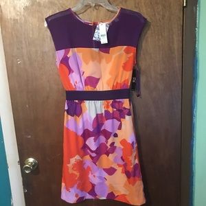 NY&C spring dress